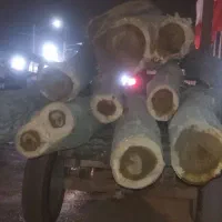 خرید و فروش انواع چوب های باغی|عمدهفروشی|بجنورد, |دیوار