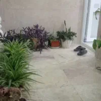 همخانه به مدت چند ما هم خونه