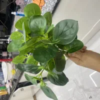 گلدان استیل سه پایه سه سایز|گل و گیاه طبیعی|ری, دیلمان|دیوار