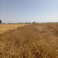 پرس