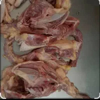 خورده گوشت اسکلت