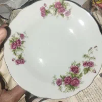 فسنجون خوری گل سرخی اصل چین و گل سرخی سفارشی