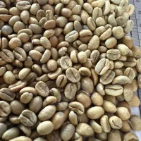 فروش قهوه و پودریجات