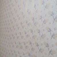 نقاشی ساختمان سلیمانی|خدمات پیشه و مهارت|شاهین دژ, |دیوار