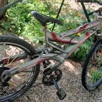 دوچرخه 24 یا26