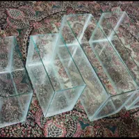 یک عدد آکواریم آماده