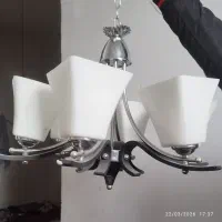 لوسترپذیرایی،شش شاخه