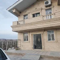 باغ انگور
