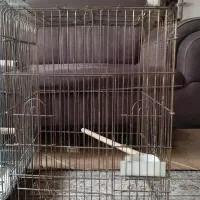 حراج قفس بزرگ عروس هلندی|لوازم جانبی حیوانات|ری, ولی آباد|دیوار