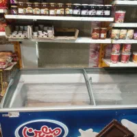 فریزر بستنی 600 لیتری ترک و یخچال تک در نوشیدنی