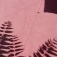 موکت ۶متری ۵۰۰