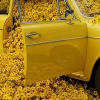 اموزش  رانندگی مخصوص بانوان گواهی نامه دار|خدمات آموزشی|تهران, آبشار تهران (دریاچه)|دیوار