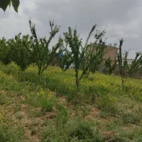 باغ|فروش زمین و ملک کلنگی|اراک, |دیوار