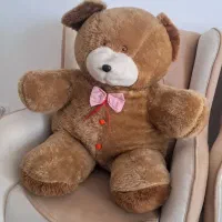 دو عدد خرس بزرگ