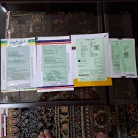 بذر بادنجون، گوجه انواع مختلف|خدمات باغبانی و درختکاری|اهواز, پردیس|دیوار