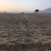 زمین پشت کشتارگاه