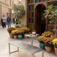 صندلی های ترند دنیا صندلی ناهارخوری کافه رستوران|میز و صندلی غذاخوری|تهران, نیاوران|دیوار