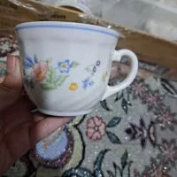 فنجان ویکتوریا نو