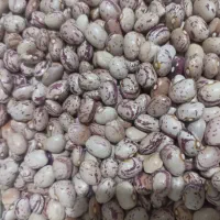 لوبیا چیتی درجه یک امسال|خوردنی و آشامیدنی|تهران, دولاب|دیوار