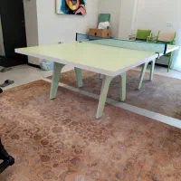 میز پینگ پنگ سفارشی ساز