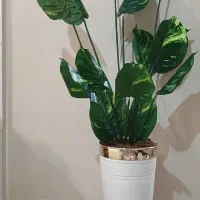 گلدان بزرگ مصنوعی|گل مصنوعی|تهران, بهداشت|دیوار