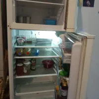 یخچال فیلور