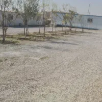 استخدام بنا