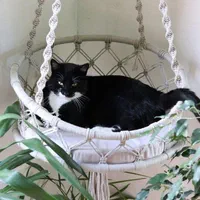 تاب و جا خواب پت مکرومه ای|لوازم جانبی حیوانات|بابل, |دیوار