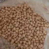 نخود تازه وتمیز