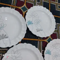 سرویس آرکوپال 12نفره