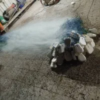 تورماهیگیری صبور