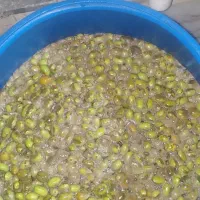 زیتون‌درجه‌یک.درشت‌یک‌دست.اماده.شکسته‌.نشکسته