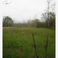 زمین-کوهمره-سرخی