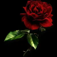 کمک در جهت کاهش استرس