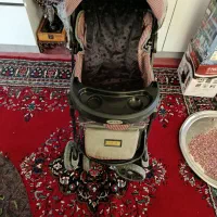 کالسکه کارکرده دلیجان|کالسکه و لوازم جانبی|همدان, |دیوار