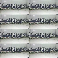 دسته ۲۵تایی پرشی ساده سیاه