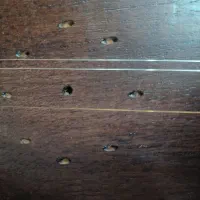 تنبور استاد قادر قدیمی