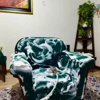 شستشوی انواع مبل و فرش الماس|خدمات نظافت|مینودشت, |دیوار