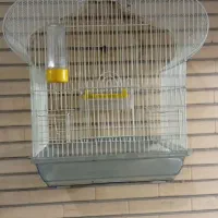 قفس