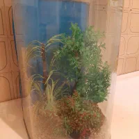 آکواریوم استوانه ای