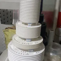 زهکش، جزیره، زیر گلدانی بابا آدم، گل و گیاه.