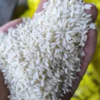 برنج عنبربو ممتاز شوشتر