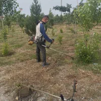 علف تراشی