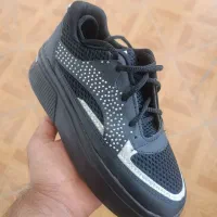 حراج کالج زنانه   فقط 300|کیف، کفش، کمربند|آران و بیدگل, |دیوار