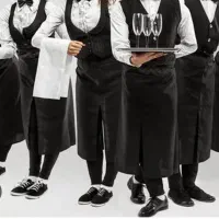 سالن کار(میزبان) نیروی کار ساده