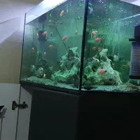 اکواریوم شیشه تخت همراه با کمد