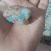 سلام یه تک مهره مطیع دارم ک ازسه نسل بم رسیده