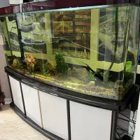 فروش آکواریوم خارجی منحنی ۶۵۰ لیتری با تمام لوازم