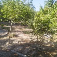 زمین شهرک افتاب