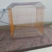 قفس پرنده|لوازم جانبی حیوانات|شیراز, شهرک گلستان|دیوار